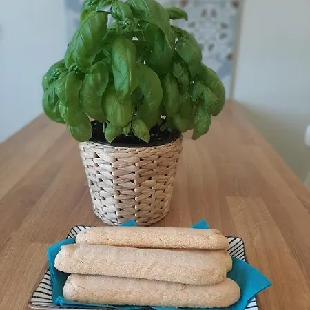 Brii Maison בית נופש *